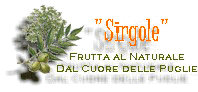 Sirgole - nocipecan.it - Frutta biologica